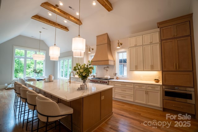 724 Ideal Way, Charlotte, NC 28203 - kitchen featuring custom range hood, stainless steel appliances, plenty of natural light, wood finished floors, and recessed lighting
