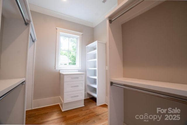 724 Ideal Way, Charlotte, NC 28203 - walk in closet featuring light wood finished floors