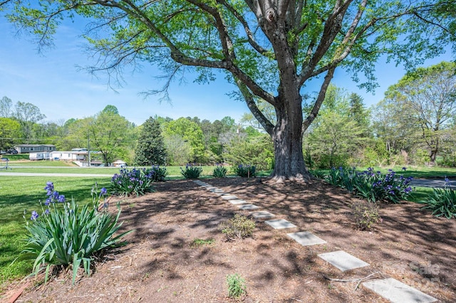 3340 Wrenwood Dr, Newton, NC 28658 - view of yard