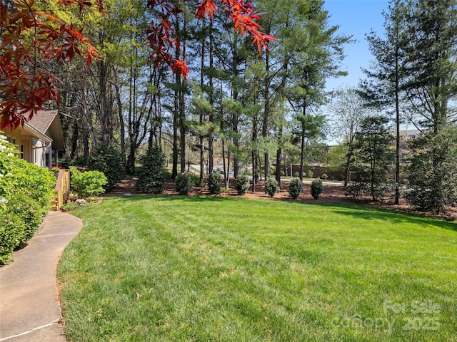 view of yard