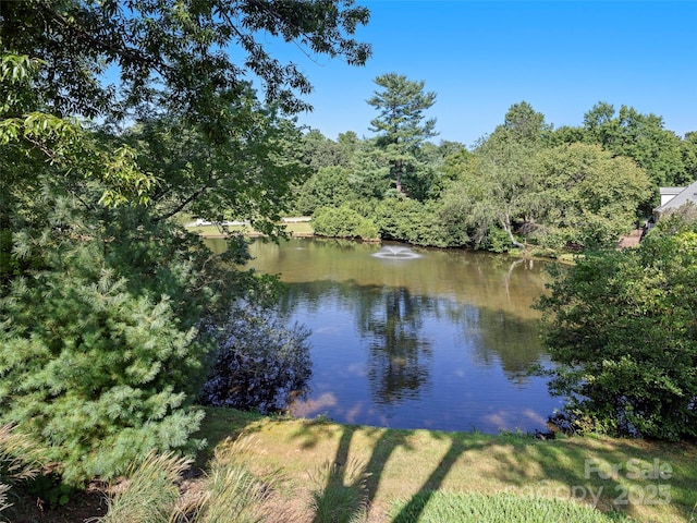 view of water feature with a wooded view