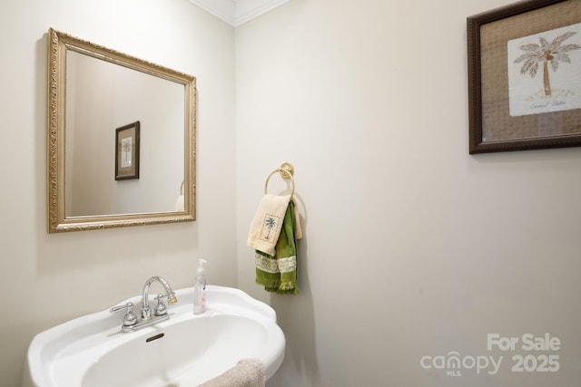 bathroom with ornamental molding and a sink