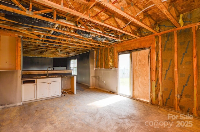 basement with a sink