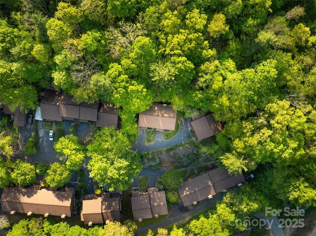 802 Parkway Vista Dr, Asheville, NC 28805 - photo 29