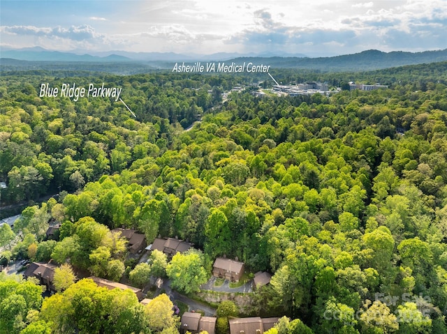 802 Parkway Vista Dr, Asheville, NC 28805 - photo 2