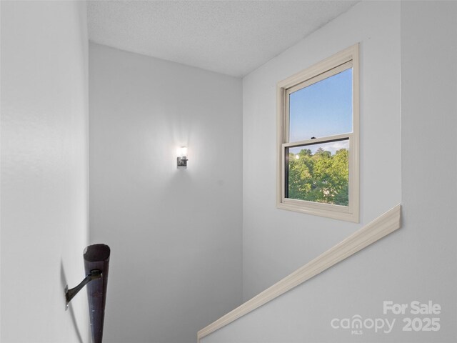 802 Parkway Vista Dr, Asheville, NC 28805 - photo 15