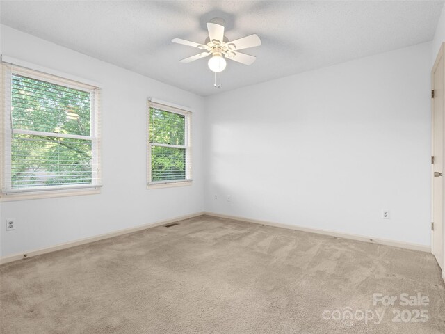 802 Parkway Vista Dr, Asheville, NC 28805 - photo 17