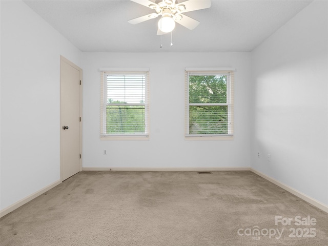802 Parkway Vista Dr, Asheville, NC 28805 - photo 20