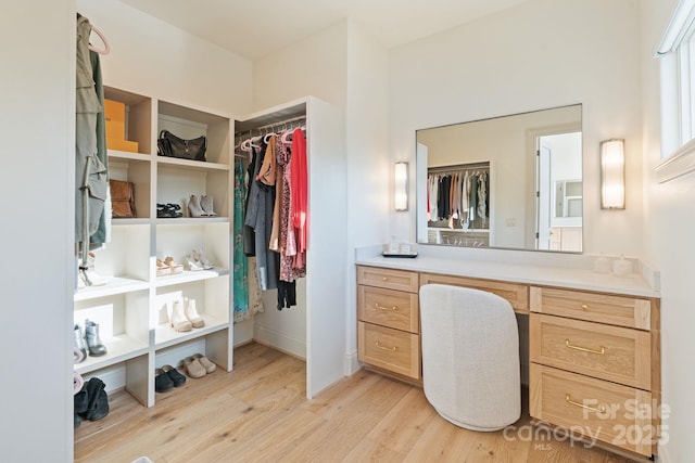 bathroom with vanity, a walk in closet, and wood finished floors