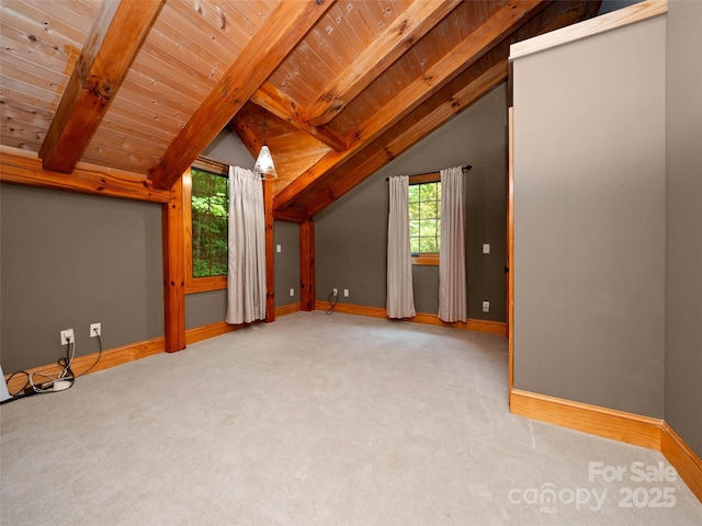 82 Red Oak Dr, Mills River, NC 28759 - photo 28