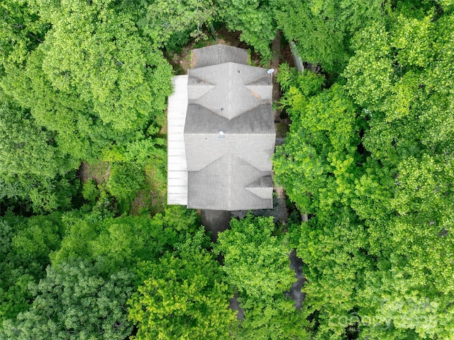 82 Red Oak Dr, Mills River, NC 28759 - photo 48