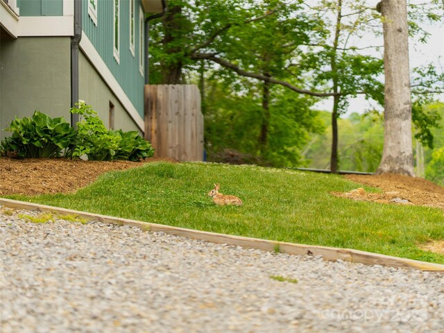 328 Mccoy Cove Rd, Black Mountain, NC 28711 - photo 15