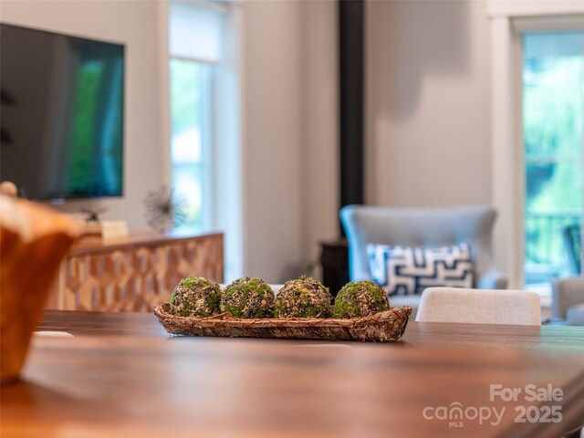 328 Mccoy Cove Rd, Black Mountain, NC 28711 - photo 22