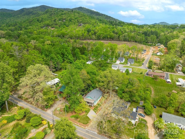328 Mccoy Cove Rd, Black Mountain, NC 28711 - photo 7