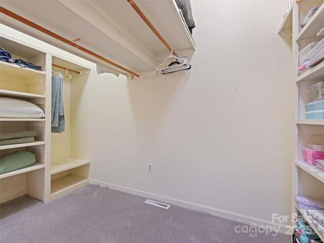 62 Cosmic Ln, Waynesville, NC 28786 - walk in closet with carpet floors