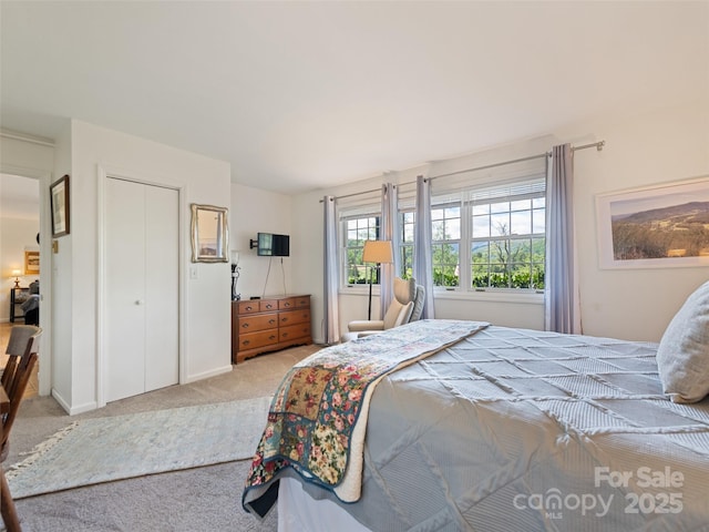 62 Cosmic Ln, Waynesville, NC 28786 - bedroom featuring light colored carpet and a closet