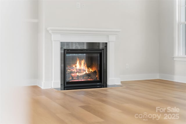925 Twin Lakes Rd, Rock Hill, SC 29732 - detailed view of a fireplace with flush hearth, wood finished floors, and baseboards