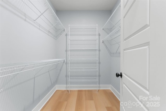 925 Twin Lakes Rd, Rock Hill, SC 29732 - spacious closet with light wood finished floors