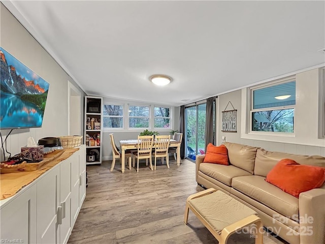 living room with light wood-style flooring and a healthy amount of sunlight