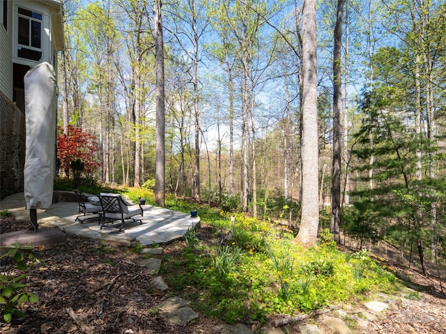 view of yard featuring a patio