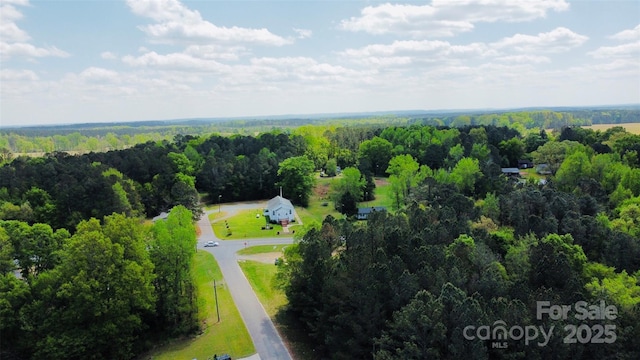 141 Lewis St, Mount Gilead, NC 27306 - photo 4