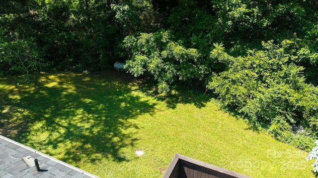 141 Lewis St, Mount Gilead, NC 27306 - photo 29