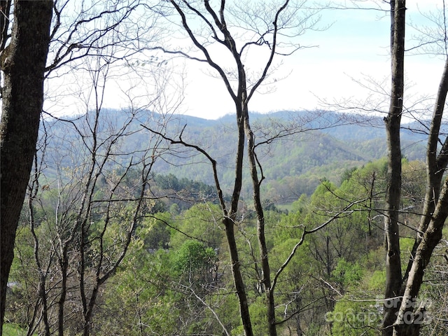 property view of mountains with a forest view