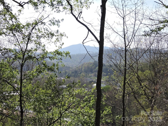 property view of mountains featuring a forest view