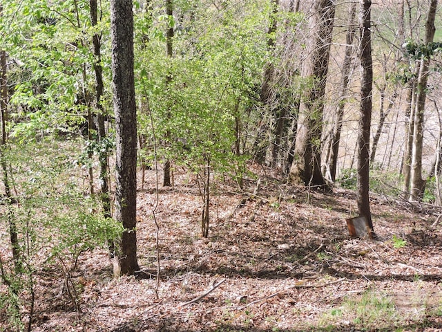 view of landscape with a view of trees