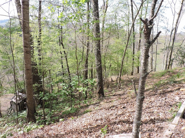 view of landscape with a view of trees