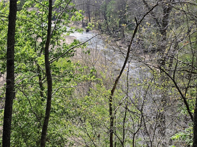water view with a view of trees