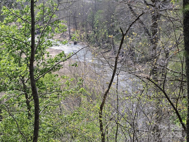 property view of water with a forest view