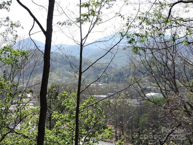mountain view featuring a view of trees