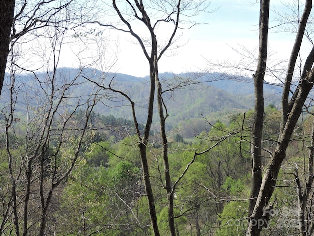 property view of mountains featuring a wooded view