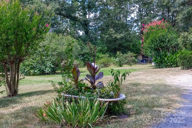 14131 Lucia Riverbend Hwy, Mount Holly, NC 28120 - photo 31