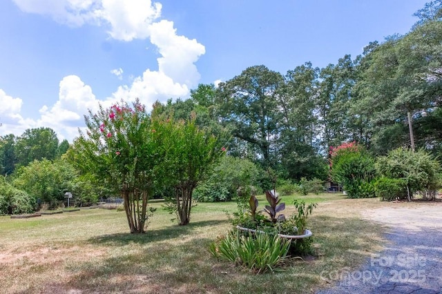 14131 Lucia Riverbend Hwy, Mount Holly, NC 28120 - photo 32
