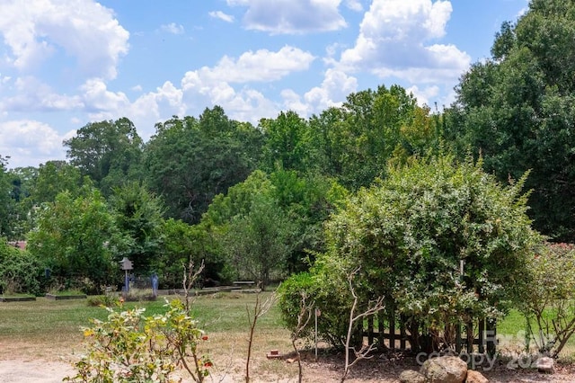 14131 Lucia Riverbend Hwy, Mount Holly, NC 28120 - photo 34
