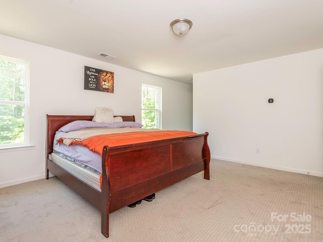 11010 Redcoat Hill Ln, Huntersville, NC 28078 - bedroom with light carpet and baseboards