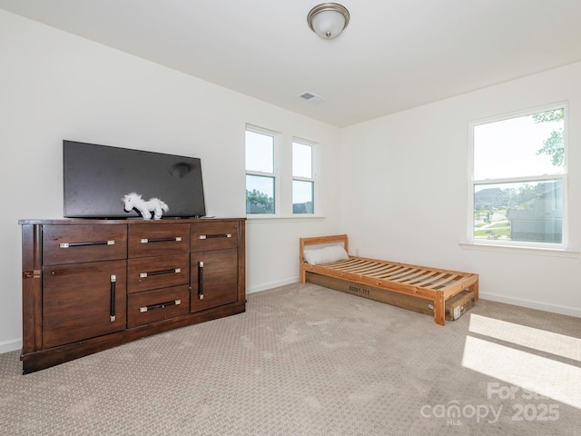 11010 Redcoat Hill Ln, Huntersville, NC 28078 - carpeted bedroom with baseboards