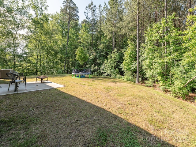 11010 Redcoat Hill Ln, Huntersville, NC 28078 - view of grassy yard featuring a trampoline, a patio area, a fire pit, and a view of trees