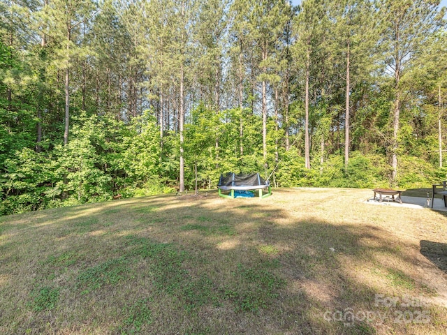 11010 Redcoat Hill Ln, Huntersville, NC 28078 - view of grassy yard with a trampoline and a forest view