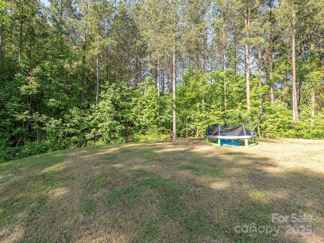 11010 Redcoat Hill Ln, Huntersville, NC 28078 - view of grassy yard with a trampoline and a forest view