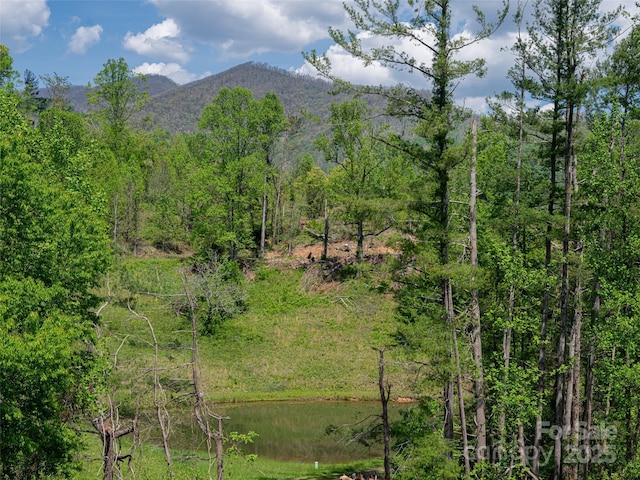 15 Sassy Ln, Asheville, NC 28805 - view of mountain background featuring a heavily wooded area