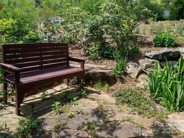 15 Sassy Ln, Asheville, NC 28805 - view of surrounding community