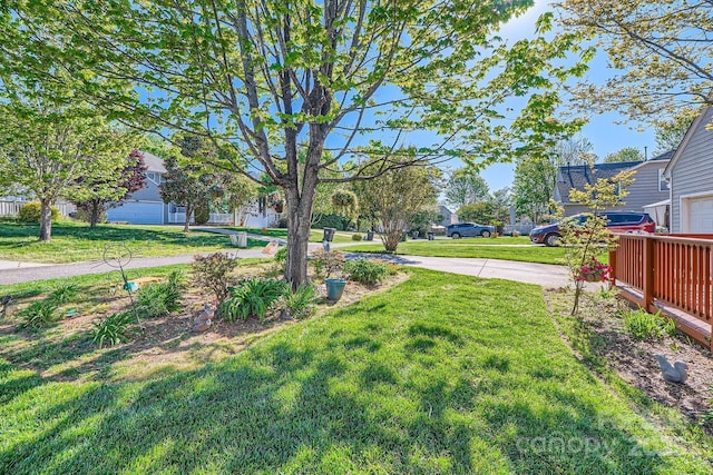 3939 Archer Notch Ln, Huntersville, NC 28078 - view of green lawn