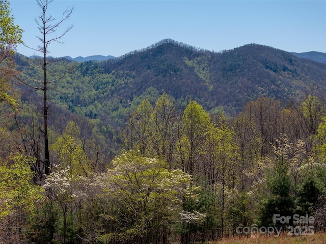 318 Brown Mountain Dr, Cullowhee, NC 28723