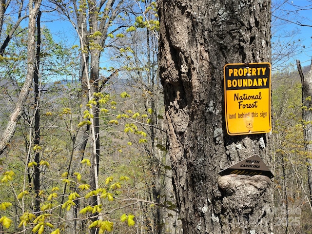 318 Brown Mountain Dr, Cullowhee, NC 28723