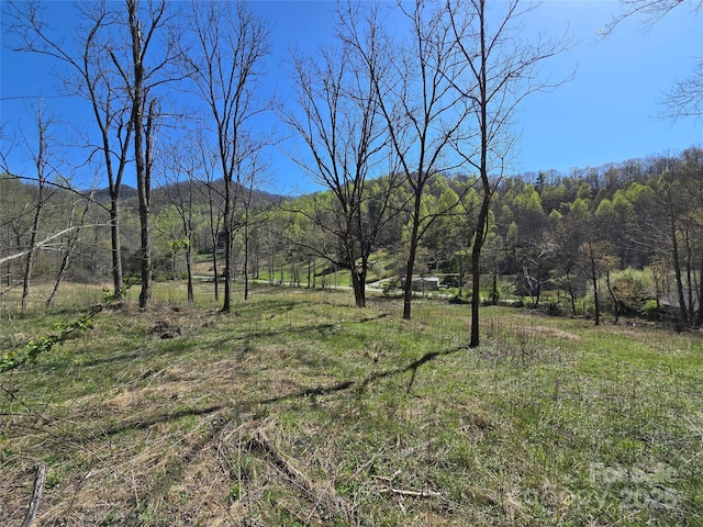 318 Brown Mountain Dr, Cullowhee, NC 28723