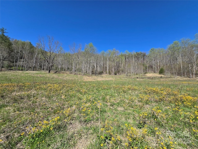 318 Brown Mountain Dr, Cullowhee, NC 28723