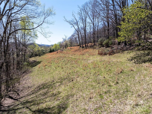 318 Brown Mountain Dr, Cullowhee, NC 28723